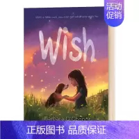 [正版]Wish 愿望 英文原版书 9-12岁儿童文学小说书 青少年课外读物 Barbara O'Connor 进口英语
