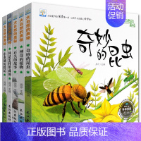 全5册 小果树科学探索绘本系列 [正版]小果树科学探索绘本系列大自然的奥秘 全套5册奇妙的昆虫3-4-6岁幼儿故事书幼儿