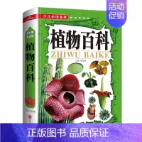 植物百科[非注音版] [正版]任选三本39.7元精装版少儿金典中外世界中国地理神话童话名人故事自然昆虫兵器植物恐龙百科9