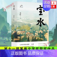 [正版] 宝水 乔叶 第十一届茅盾文学奖获奖作品 乡土中国现代化的文学书 现当代文学 北京十月文艺出版社 凤凰书