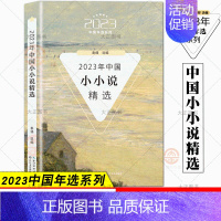 2023年中国小小说精选 [正版]自选11册2023年中国散文+微型小说+小小说+短篇小说随笔精短美文悬疑小说诗歌武侠小