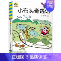 小布头奇遇记 [正版] 小布头奇遇记 书 孙幼军/著 小布老虎丛书 春风文艺出版社 中国儿童文学经典 孩子成长必读故事书