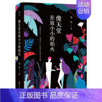 [正版] 像天堂在放小小的焰火 乔叶 著 著作 现代/当代文学文学 中国现当代文学 文学小说 文学小说 文轩