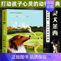 [打动孩子心灵的动物经典]灵犬莱西 [正版]打动孩子心灵的动物经典 灵犬莱西 外国儿童文学书籍 小学生课外书6-12岁少