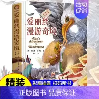 [精装完整版]爱丽丝漫游奇境记 [正版]精装彩插爱丽丝漫游奇境记原著全译硬壳中文彩绘爱丽丝梦游仙境外国名著儿童文学小学四