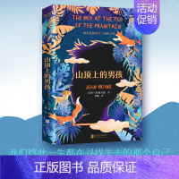 《山顶上的男孩》 [正版] 穿条纹衣服的男孩 入选百班千人暑期共读书目 电影穿条纹睡衣的男孩原著 外国儿童文学校园成