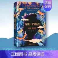 《山顶上的男孩》 [正版] 穿条纹衣服的男孩 入选百班千人暑期共读书目 电影穿条纹睡衣的男孩原著 外国儿童文学校园成