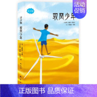 驭风少年 [正版] 驭风少年 青少版威廉坎宽巴著驭风男孩同名电影原著成长校园小说有梦想才有未来外国文学励志小说书籍南