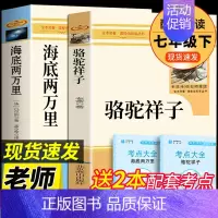 骆驼祥子+海底两万里(共2册) [正版]清华北大不是梦 初中生高中生必读课外书青春励志适合中学生男生女生看的书籍必看的书