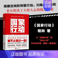 [正版]国家行动程琳张译主演同名电视剧原著小说长篇反腐刑侦官场小说现当代文学纪实文学追问同款纪实类FH