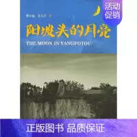 [正版]阳坡头的月亮赖小瑜 纪实文学中国当代文学书籍