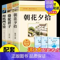 [配套人教版]朝花+骆驼+海底3册 [正版]朝花夕拾鲁迅原著必读书 七年级上册课外书初一7上的书目初中课外阅读书籍和西游