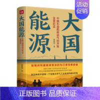 [正版]大国能源(中国石油西南油气田开发全景纪实)赵郭明普通大众纪实文学中国当代文学书籍