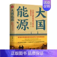 [正版]大国能源(中国石油西南油气田开发全景纪实)赵郭明普通大众纪实文学中国当代文学书籍