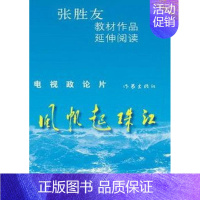 [正版] 风帆起珠江 张胜友 中国改革开放伟大历程的一幕幕又重现眼前,深圳速度、浦东模式、东莞传奇 纪实文学书籍