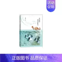 [正版]书籍美丽的西沙群岛 刘先平著 一部以中国南疆的西沙群岛为核心描写对象的纪实文学作品 人民文学出版社