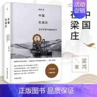 [正版]中国在梁庄精装新版当代作家与她的故乡望见望不见的故乡看到另一面的中国梁鸿文学纪实文学书籍台海出版社