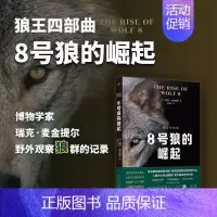 [正版]8号狼的崛起 狼王四部曲之一 科普书 了解狼群社会书籍 外国现当代文学 纪实文学 观狼记录观察笔记 人民文学出版