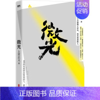 [正版]微光 上官正义作品 纪实书籍 打拐志愿者 CCTV感动中国候选人传记 感动真实故事 小说纪实文学 书籍