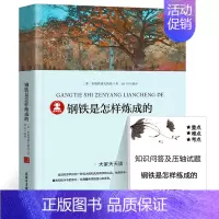 钢铁是怎样炼成的 [正版]朱自清散文集全集 精选 朱自清经典作品选集含背影匆匆荷塘月色 中国现当代随笔文学作品集六年级小