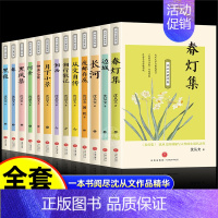 [全13册]沈从文经典作品集 [正版]沈从文著作集原著全13册 边城湘行散记长河春阿金沈从文自传全集老师初高中生课外阅读