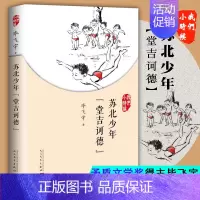 [正版] 苏北少年堂吉诃德 们小时候系列毕飞宇散文集朗读 童年回忆校园成长小说青春文学作品集随笔家长孩子共读书籍
