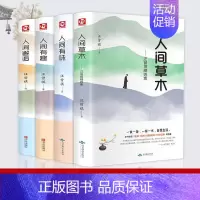[正版]全4册汪曾祺作品精选集 人间草木人间有味人间邂逅人间有趣现当代随笔文学小说经典文学名家散文集生活智慧人生哲理