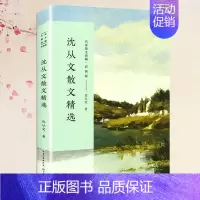 [正版]沈从文散文精选 彩插版名家散文典藏 湘行散记 沈从文散文集 鸭窠围的夜/凤凰/绿魇 中国现当代随笔中学生课外阅读