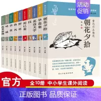 鲁迅作品精选(全十册) [正版]鲁迅作品精选全套10册 朝花夕拾野草呐喊仿徨热风华盖花边文学而已集等作品现当代文学散文随