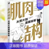 [正版] 肌肉结构 从照片到漫画绘制 缜密的内容讲解快速掌握人体肌肉形状结构方式画出兼具真实美感的体态学会如何欣赏肌