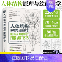 [正版]人体结构原理与绘画教学 画画入门自学零基础漫画教程书动漫绘画临摹画册书籍插画人体结构手绘画集二次元人物技法详解初