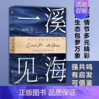 [正版]一溪见海Ⅲ(国内教科书级别的女性职场小说。被排挤打压、遭遇背叛或恶意竞争、职场冷暴力或职场PUA的应对方式,强共