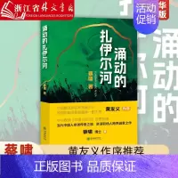 [正版]涌动的扎伊尔河 蔡啸 当代中国人非洲传奇之旅,资深职场人跨界 朝华出版社 9787505452510