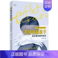 [正版]夹缝中的孩子-在父母冲突中生长 邓林园 希望如何破茧重生 原生家庭创伤 失和 不幸婚姻 单亲家庭 干预方案 儿童