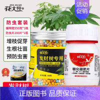 [防生虫]发财树缓释肥+防虫片200片 [正版]发财树肥料肥缓释营养肥花肥盆栽家用通用型氮磷钾绿植幸福树