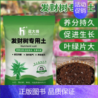 发财树专用土15升 [正版]发财树肥料肥缓释营养肥花肥盆栽家用通用型氮磷钾绿植幸福树