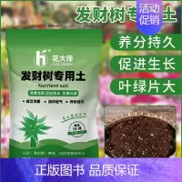 发财树专用土15升 [正版]发财树肥料肥缓释营养肥花肥盆栽家用通用型氮磷钾绿植幸福树