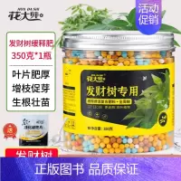 发财树肥料350g 长效缓释 送礼 [正版]发财树肥料肥缓释营养肥花肥盆栽家用通用型氮磷钾绿植幸福树