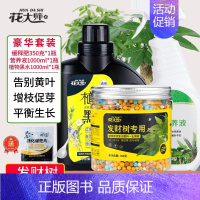 [豪华营养]发财树缓释肥+营养液+植物黑水 [正版]发财树肥料肥缓释营养肥花肥盆栽家用通用型氮磷钾绿植幸福树