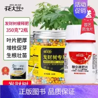 发财树肥料*2瓶 [送防虫片1瓶] [正版]发财树肥料肥缓释营养肥花肥盆栽家用通用型氮磷钾绿植幸福树