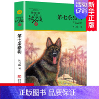 第七条猎狗 [正版]新版 第七条猎狗 沈石溪动物小说品藏书系 青少年课外启发读物教辅 7-9-10-12-15岁中国儿童