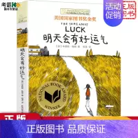 明天会有好运气 [正版]织梦人 单本 长青藤小说书系 儿童文学故事书9-12-15岁四五六年级中小学生课外书籍青少年阅