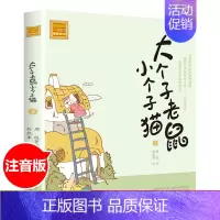 [正版]大个子老鼠小个子猫2 aoe名著注音版 一年级课外书 周锐著 6-7-8-9岁儿童故事书小学生课外阅读书籍 卡通