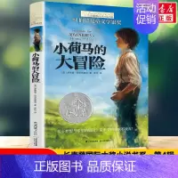 [长青藤国际大奖]小荷马的大冒险 [正版]禹田长青藤国际大奖小说寻找阿加莎小学生四五六年级课外书必读老师阅读外国经典儿童