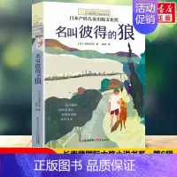 [长青藤国际大奖]名叫彼得的狼 [正版]禹田长青藤国际大奖小说寻找阿加莎小学生四五六年级课外书必读老师阅读外国经典儿童文
