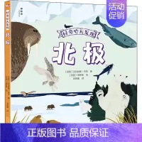 [正版]好奇心大发现 北极 6-8-10岁小学生课外阅读一二三四年级少儿科普书籍童书科普百科小学生动物故事全书儿童科普