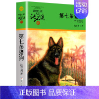 第七条猎狗 [正版]大全集沈石溪动物小说品藏书系列全套36册狼王梦四五六年级斑羚飞渡后一头战象雪豹悲歌混血豺王第七条猎狗