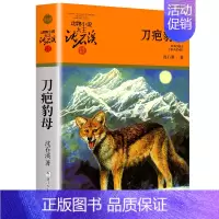 刀疤豺母 [正版]大全集沈石溪动物小说品藏书系列全套36册狼王梦四五六年级斑羚飞渡后一头战象雪豹悲歌混血豺王第七条猎狗十