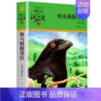 和乌鸦做邻居 [正版]大全集沈石溪动物小说品藏书系列全套36册狼王梦四五六年级斑羚飞渡后一头战象雪豹悲歌混血豺王第七条猎