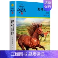 野马归野 [正版]大全集沈石溪动物小说品藏书系列全套36册狼王梦四五六年级斑羚飞渡后一头战象雪豹悲歌混血豺王第七条猎狗十